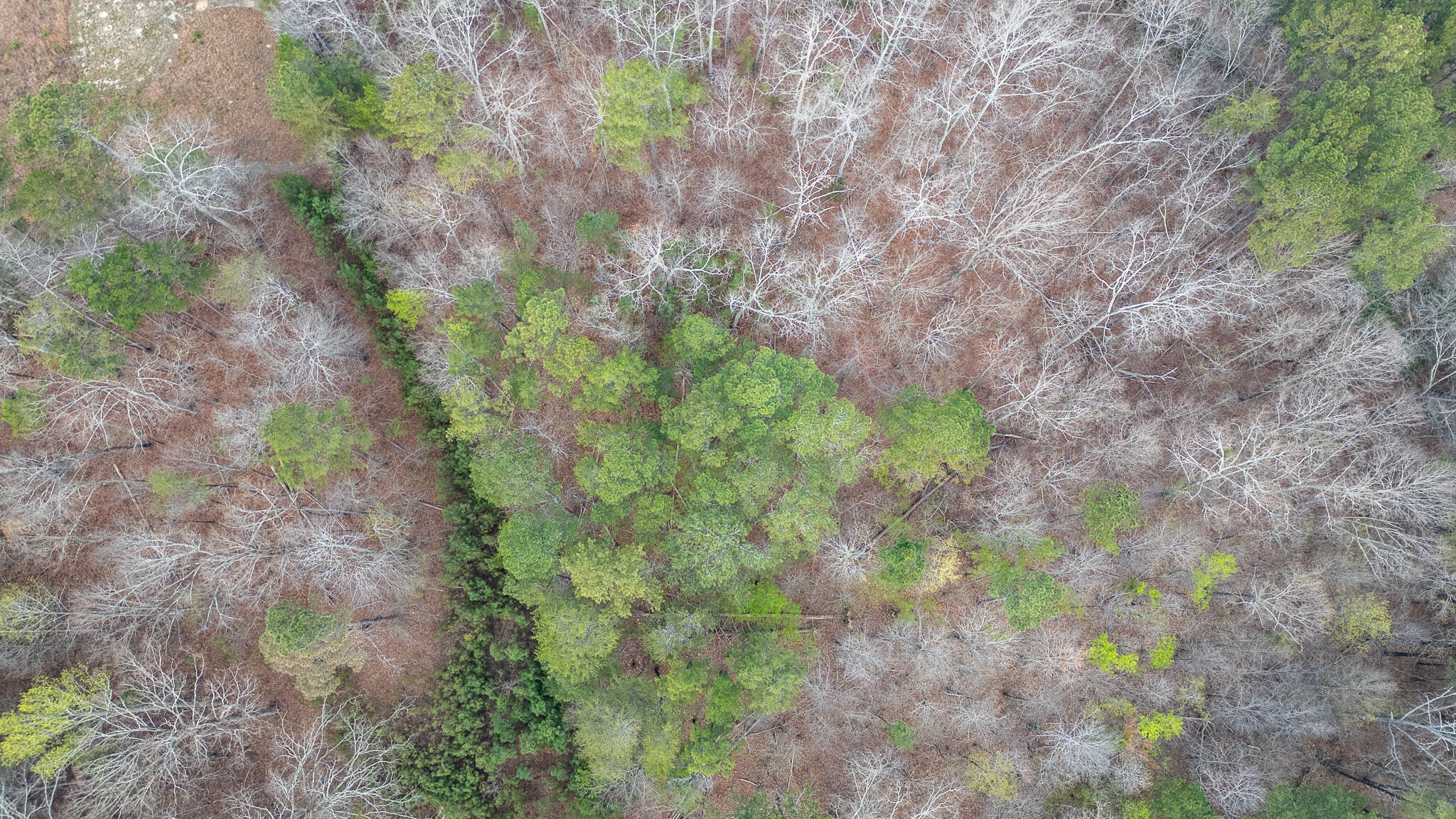 0 Castleberry Road LaFayette, GA 30728 - Photo 3 of 18 DJI_0925-HDR