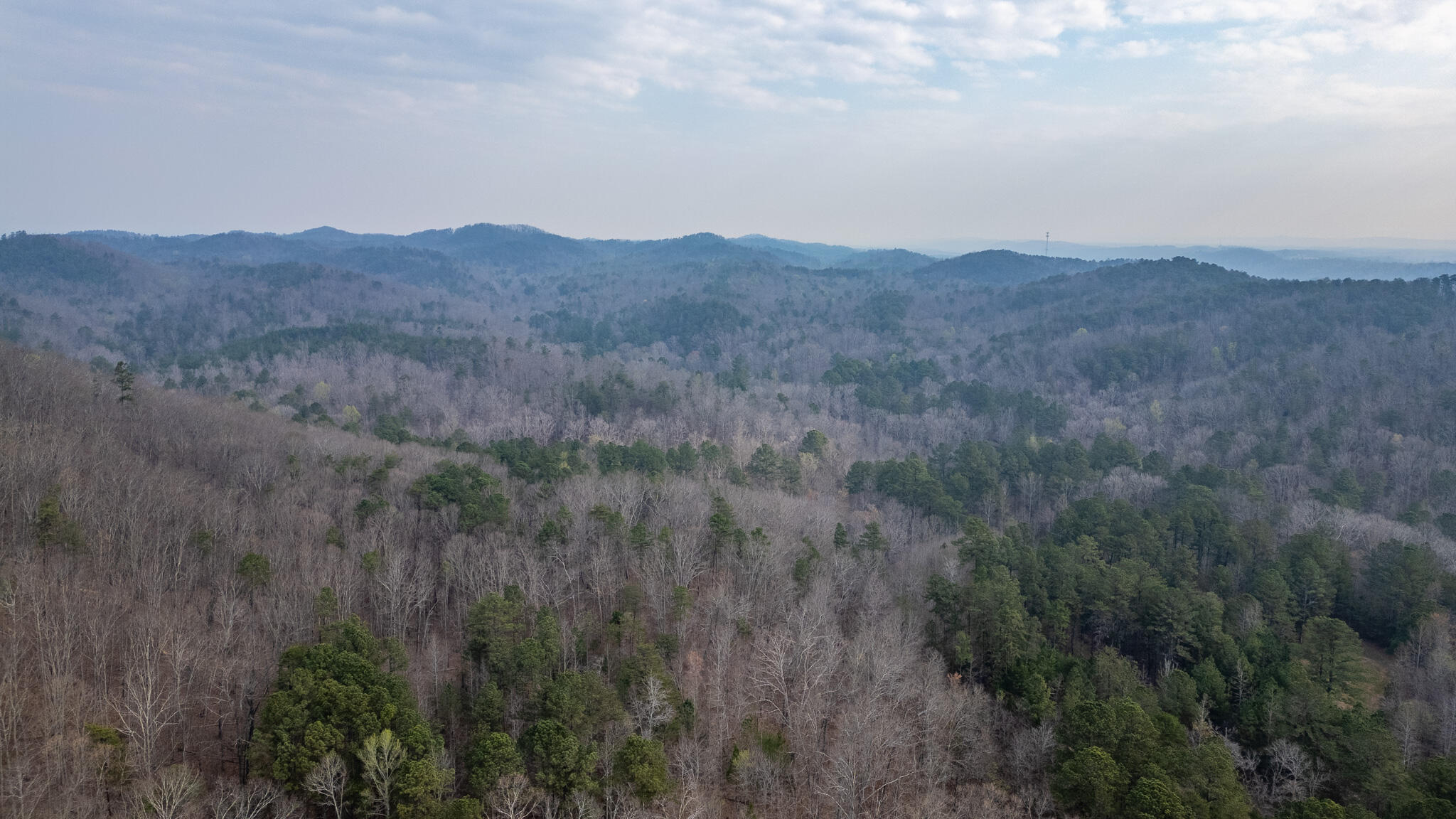 0 Castleberry Road LaFayette, GA 30728 - Photo 5 of 18 DJI_0937-HDR