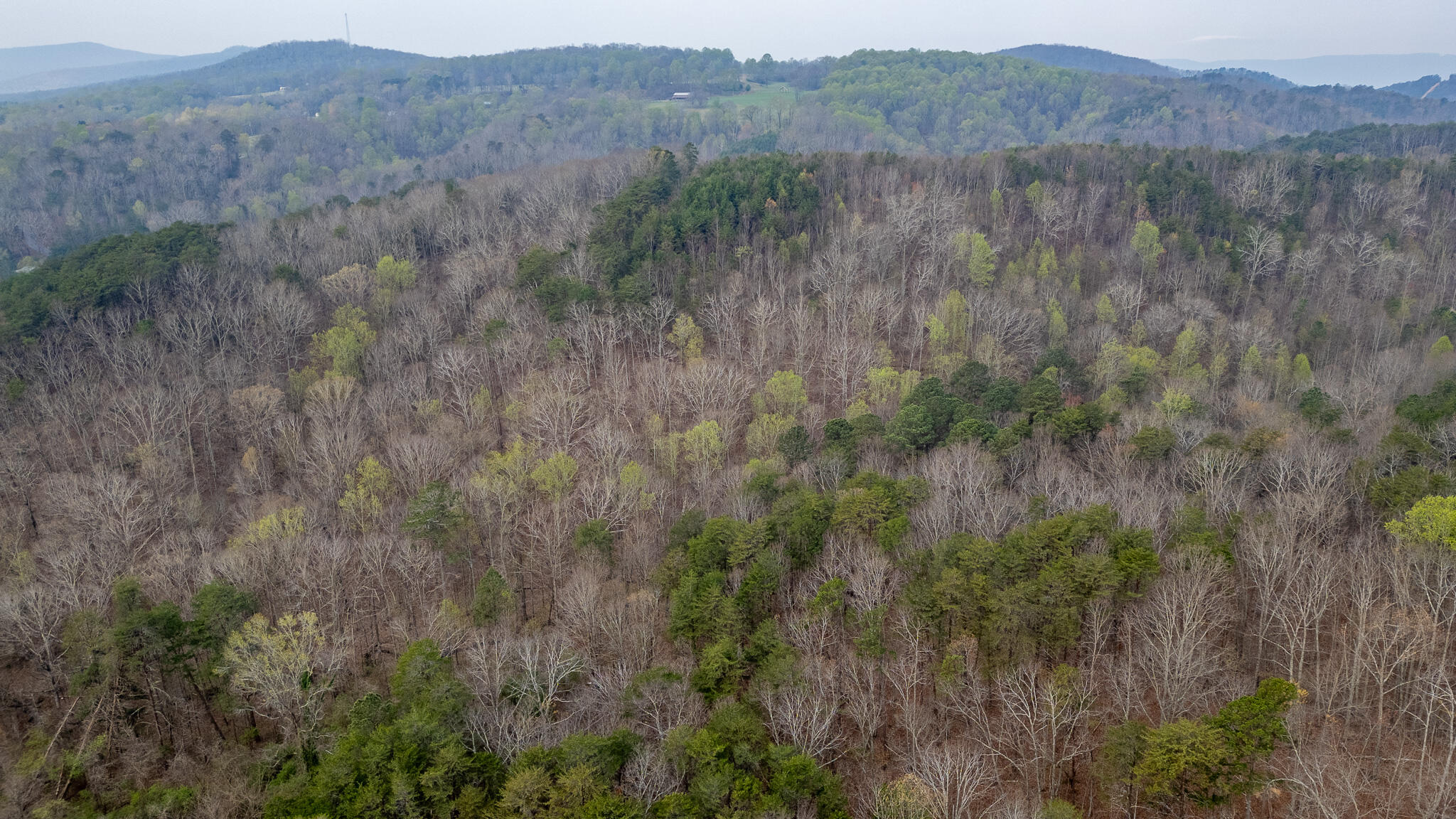 0 Castleberry Road LaFayette, GA 30728 - Photo 6 of 18 DJI_0943-HDR