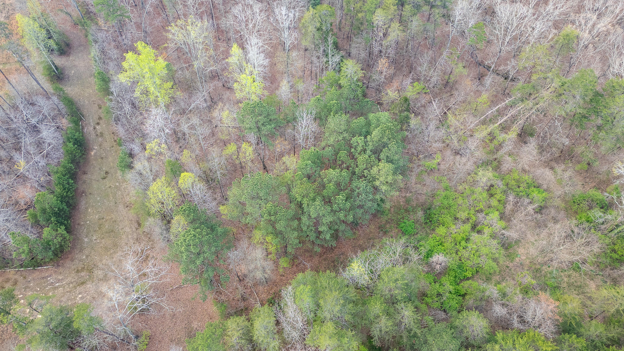 0 Castleberry Road LaFayette, GA 30728 - Photo 7 of 18 DJI_0946-HDR