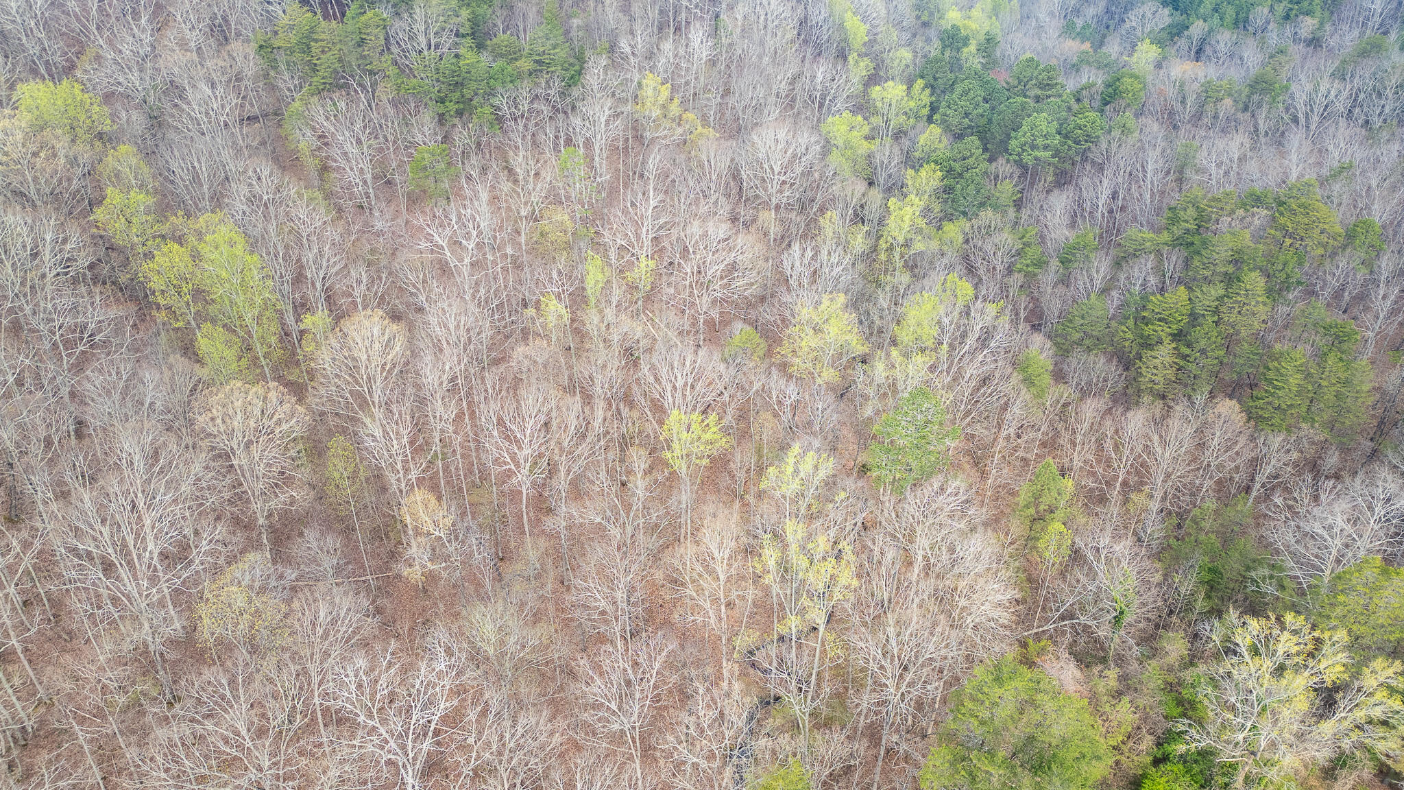 0 Castleberry Road LaFayette, GA 30728 - Photo 8 of 18 DJI_0949-HDR