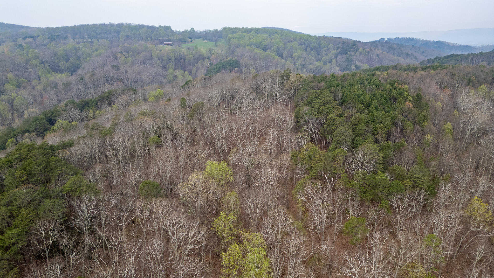 0 Castleberry Road LaFayette, GA 30728 - Photo 9 of 18 DJI_0952-HDR