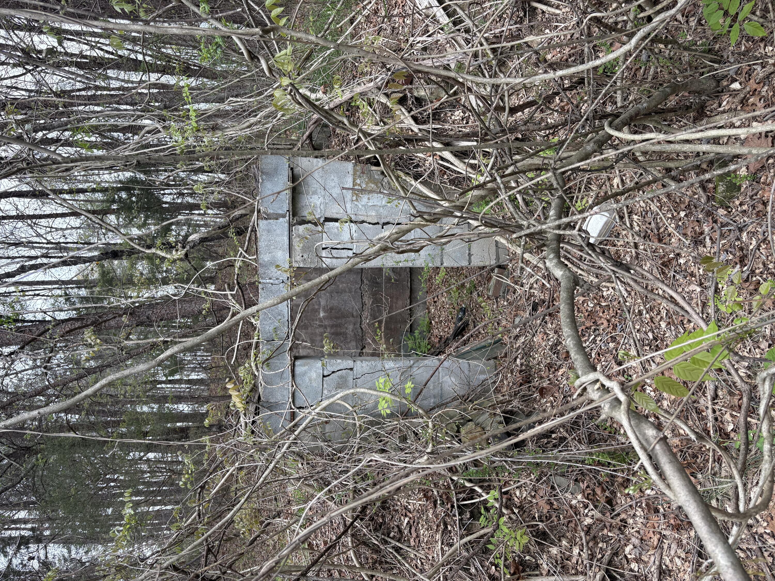 0 Castleberry Road LaFayette, GA 30728 - Photo 10 of 18 IMG_2267