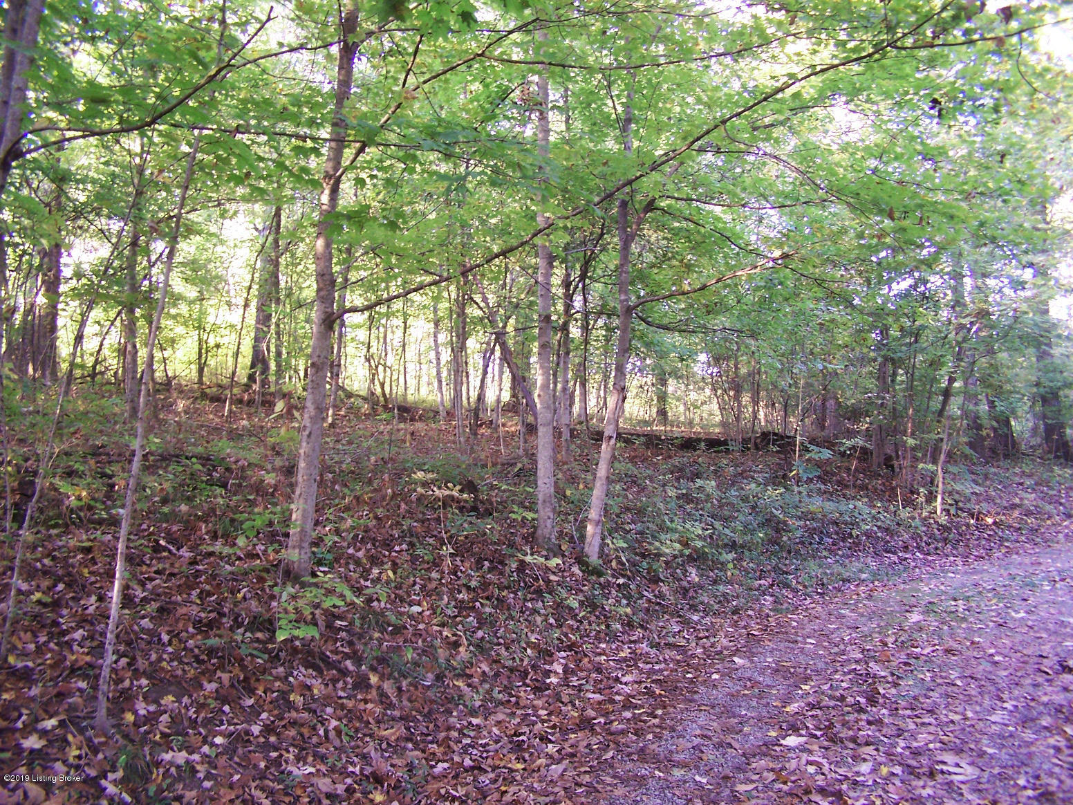 357 Ramblin Road Mount Washington, KY 40047 - Photo 3 of 43 Private driveway up to this home....