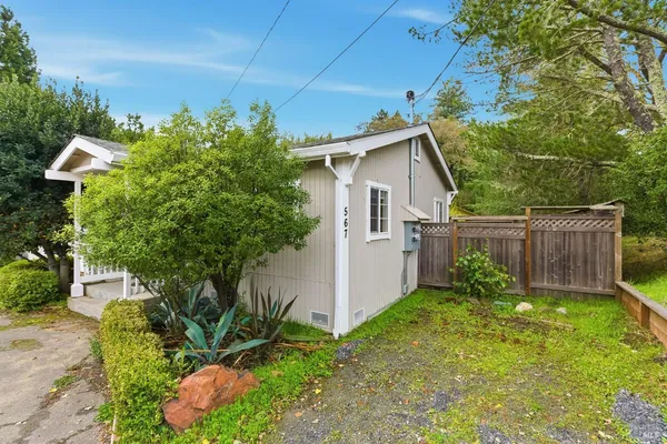 a view of a backyard with plants