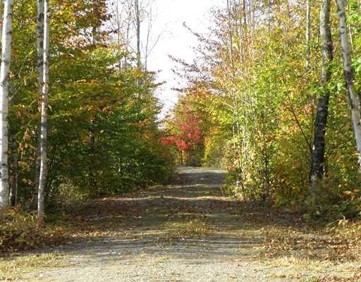 Lot 8 Warden Hill Road Springfield, ME 04487 - Photo 5 of 25 Land/Lot. Driveway entrance