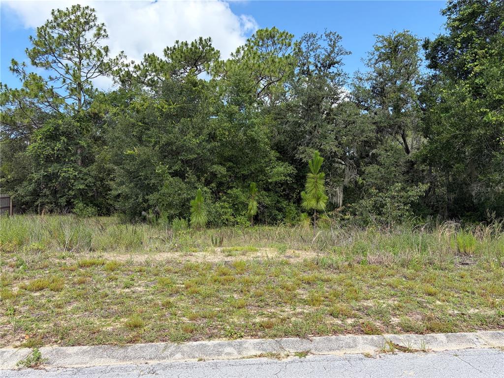 1133 Rutgers Terrace Inverness, FL 34452 - Photo 3 of 4