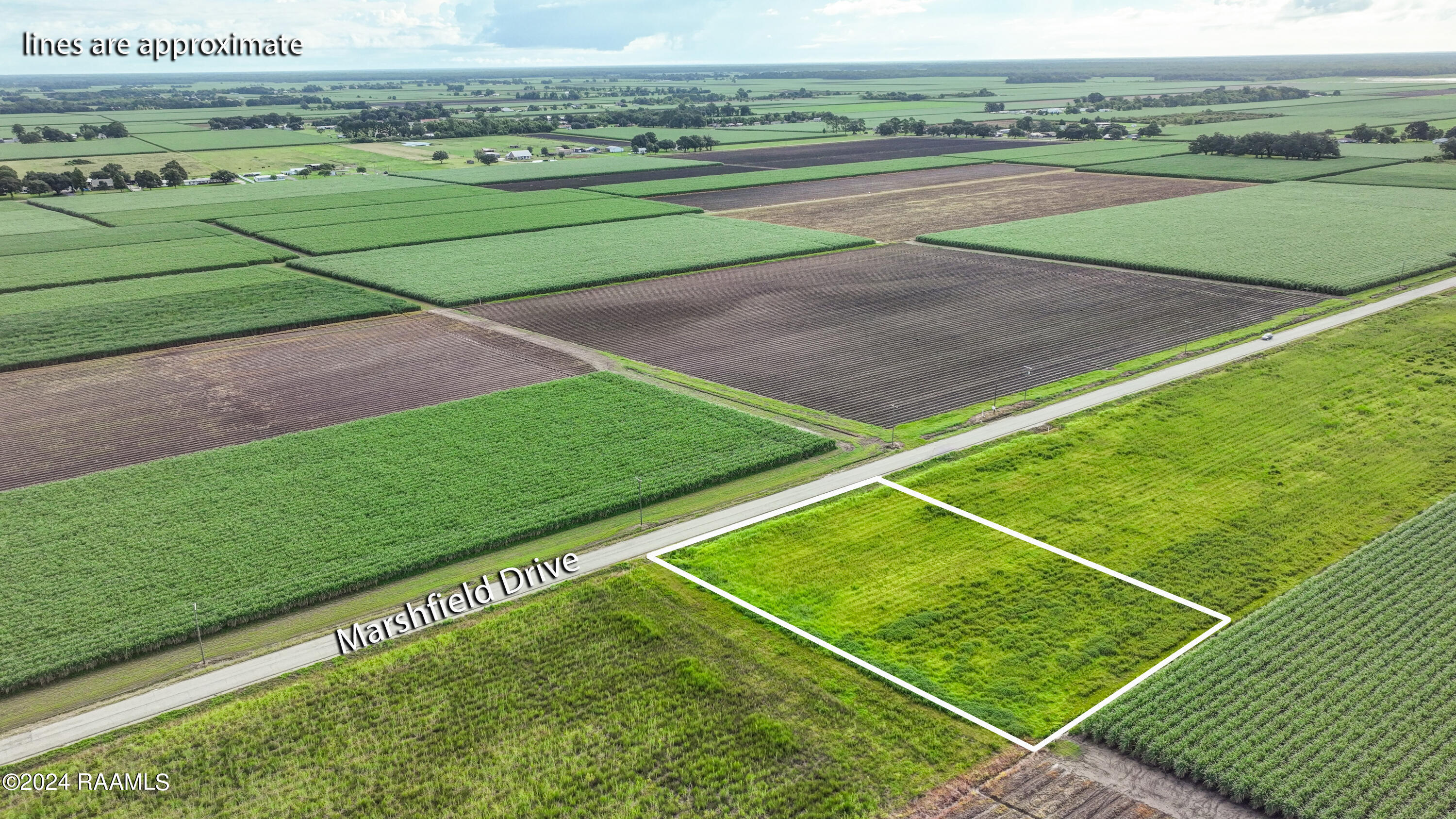 Tbd Marshfield Road New Iberia, LA 70563 - Photo 4 of 10 Marshfield
