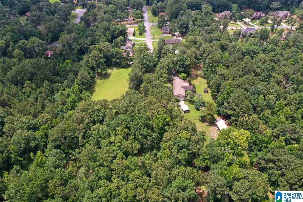 137 Old Spanish Trail Alabaster, AL 35007 - Photo 47 of 50