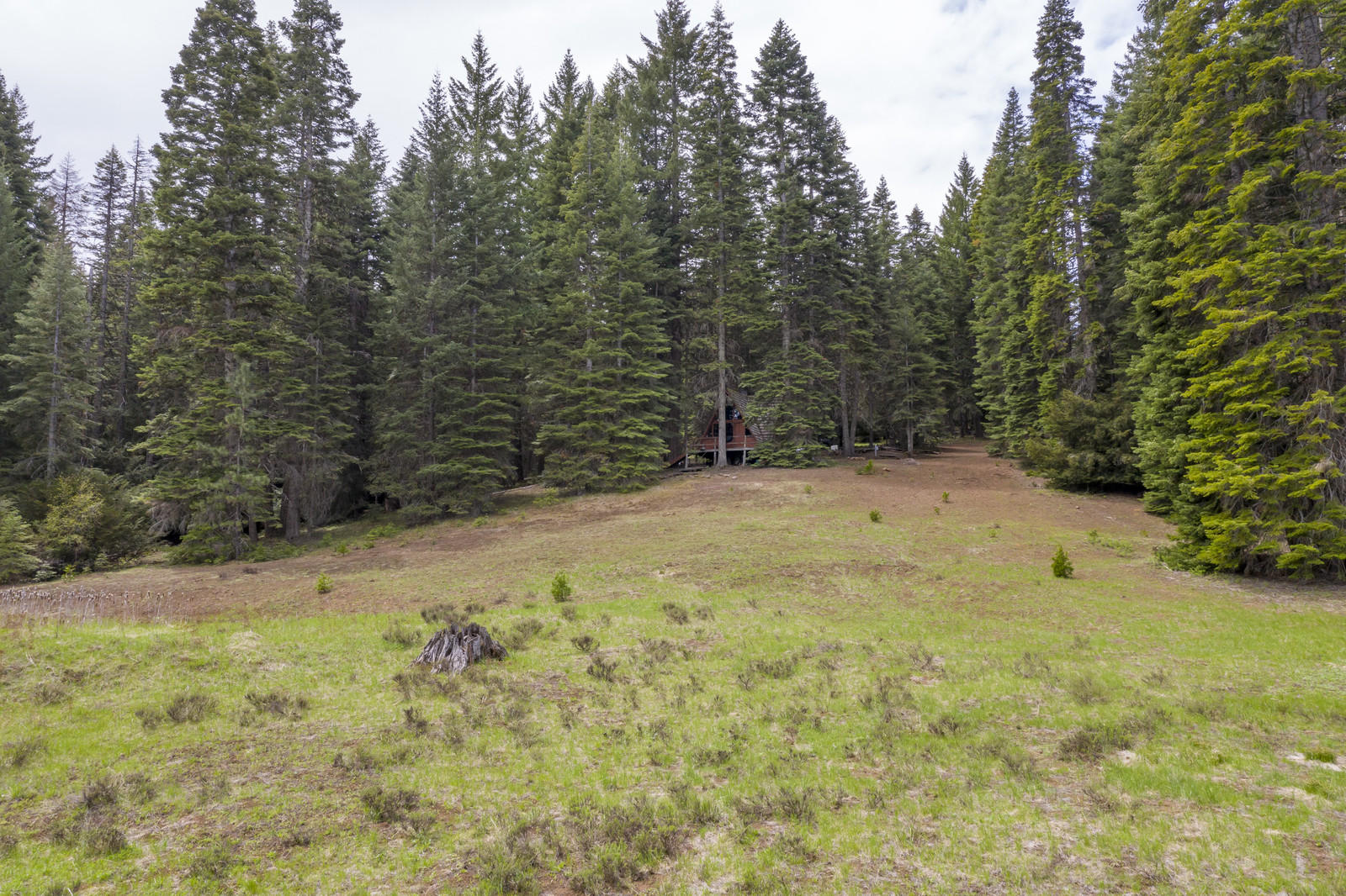 1166 Hyatt Prairie Road Ashland, OR 97520 - Photo 13 of 43 10_HPR_10_mls
