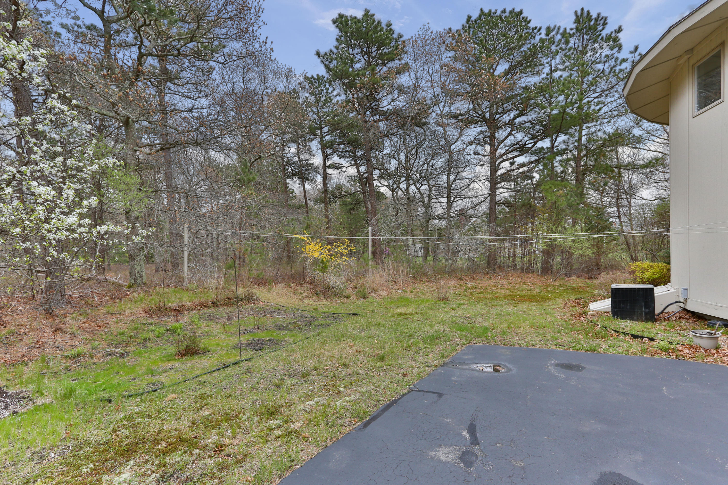 38 Weather Deck Road Bourne, MA 02532 - Photo 38 of 40 a view of a yard with a fountain