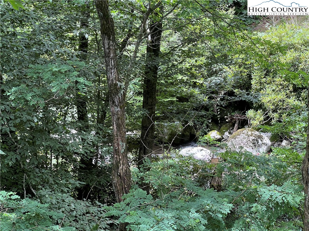 3249 Roaring Creek Road Newland, NC 28657 - Photo 32 of 39 Gallery Image 32