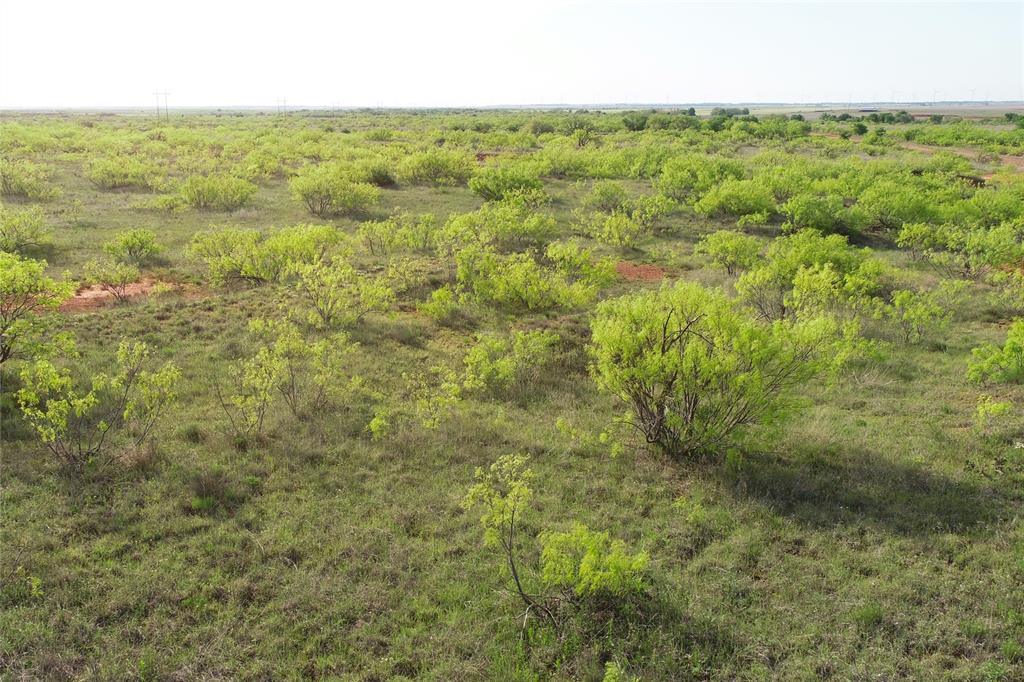 11811 County Road 97 North Vernon, TX 76384 - Photo 12 of 16 a view of a field of grass and trees