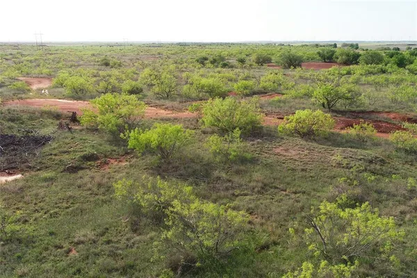 a view of a green field with lots of bushes