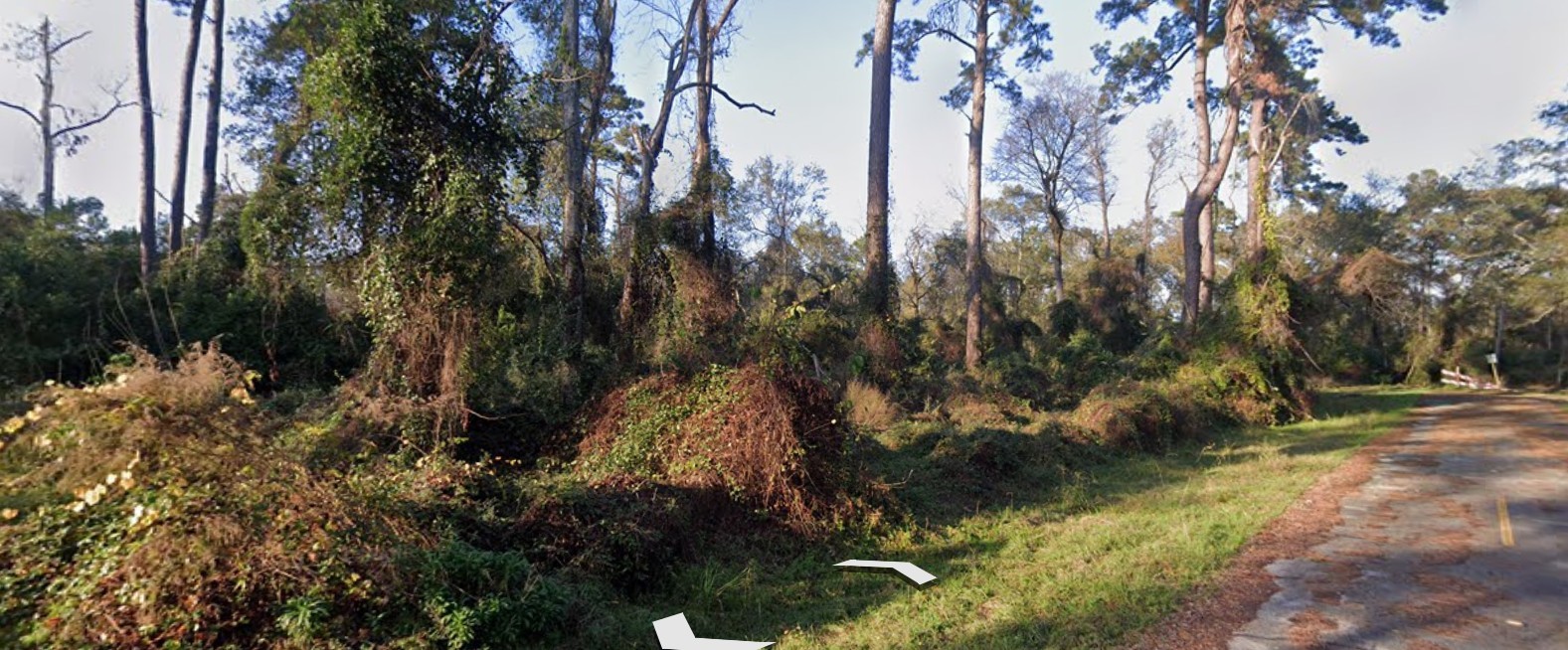 Lot 51 Overcup Drive Spring, TX 77389 - Photo 6 of 6