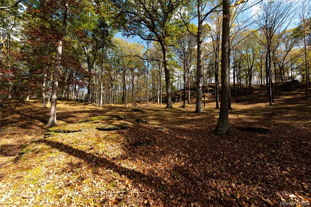a view of road with trees