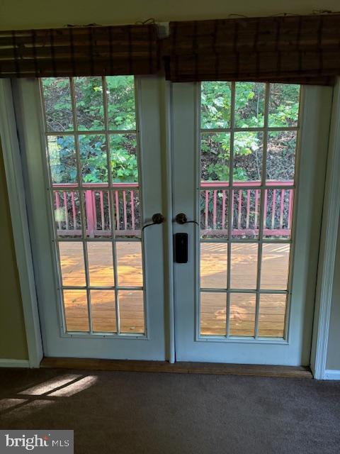 287 Blackthorne Road, Unit LURAY Stanley, VA 22851 - Photo 42 of 96 Sunlit doors opening to a serene deck view.