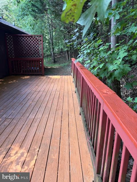 287 Blackthorne Road, Unit LURAY Stanley, VA 22851 - Photo 43 of 96 Rear deck bordered by hillside trees