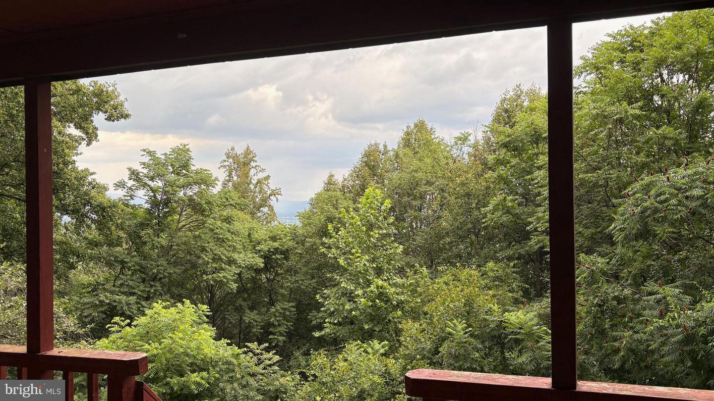 287 Blackthorne Road, Unit LURAY Stanley, VA 22851 - Photo 45 of 96 Forest view from your covered Front deck. .