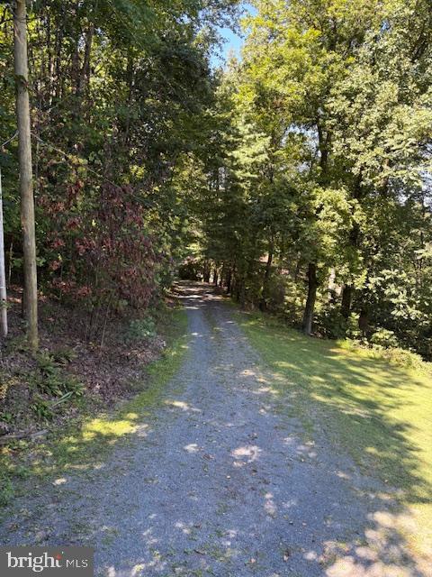 287 Blackthorne Road, Unit LURAY Stanley, VA 22851 - Photo 6 of 96 Gravel driveway through lush greenery.