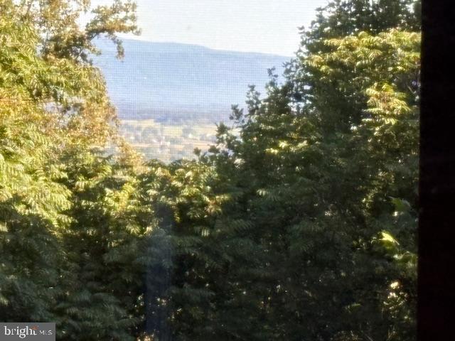 287 Blackthorne Road, Unit LURAY Stanley, VA 22851 - Photo 7 of 96 Senic view through lush greenery.