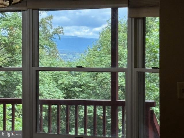 287 Blackthorne Road, Unit LURAY Stanley, VA 22851 - Photo 76 of 96 Serene mountain views through the windows.