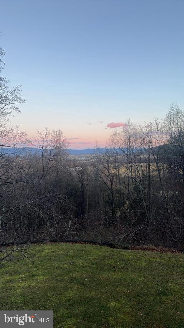 287 Blackthorne Road, Unit LURAY Stanley, VA 22851 - Photo 78 of 96 a view of a yard