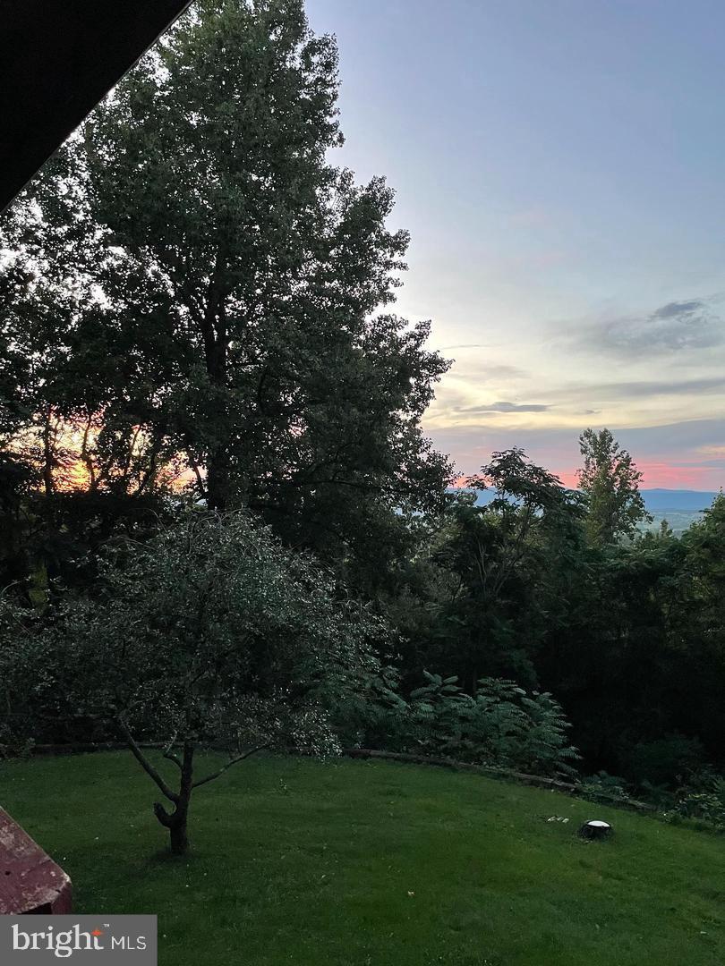 287 Blackthorne Road, Unit LURAY Stanley, VA 22851 - Photo 80 of 96 a view of a yard with a tree