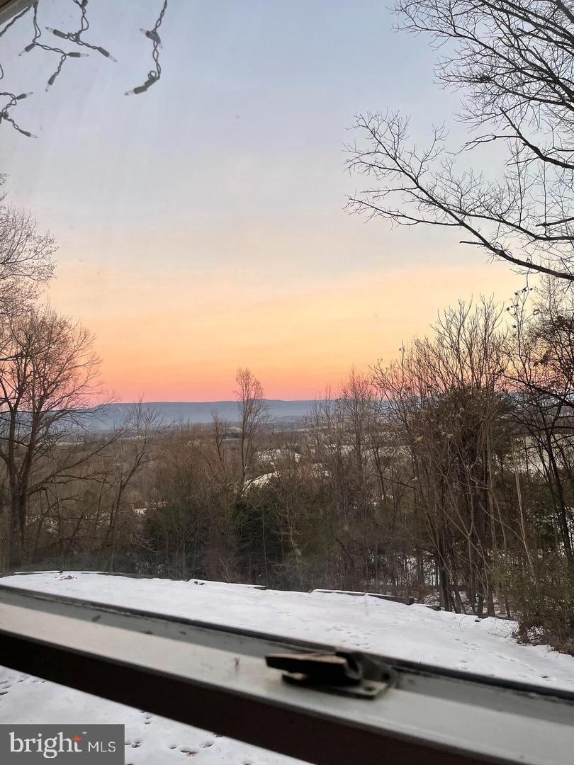 287 Blackthorne Road, Unit LURAY Stanley, VA 22851 - Photo 82 of 96 Valley & Blue Ridge at its best..