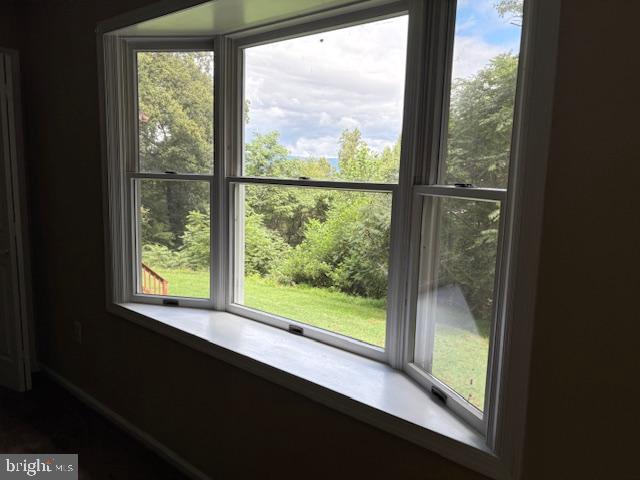 287 Blackthorne Road, Unit LURAY Stanley, VA 22851 - Photo 84 of 96 Inviting views from a charming bay window.