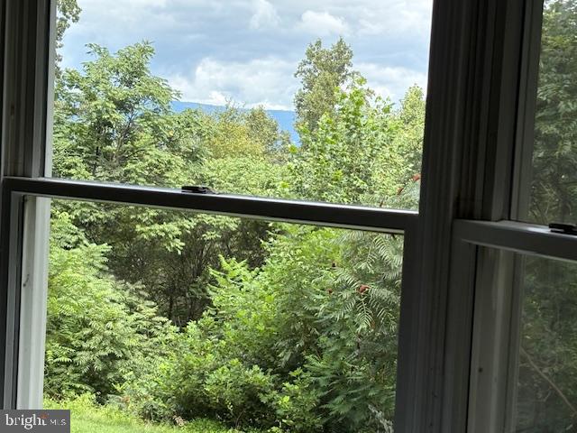 287 Blackthorne Road, Unit LURAY Stanley, VA 22851 - Photo 85 of 96 Lush greenery framed by a serene window view.