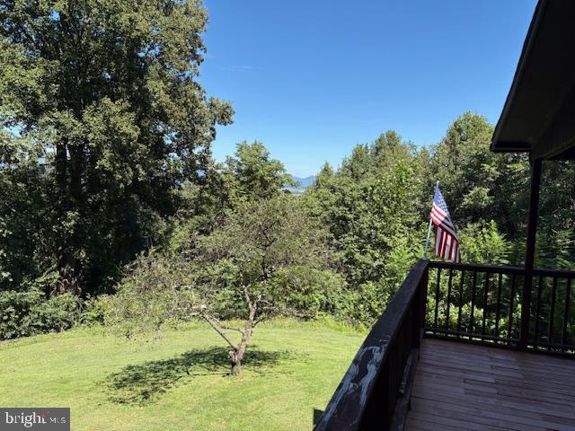 287 Blackthorne Road, Unit LURAY Stanley, VA 22851 - Photo 87 of 96 a backyard of a house with lots of green space