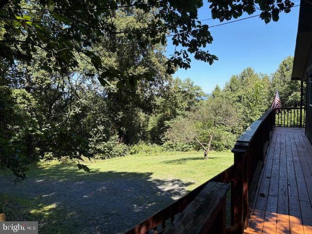 287 Blackthorne Road, Unit LURAY Stanley, VA 22851 - Photo 89 of 96 Serene views from a tranquil deck retreat.