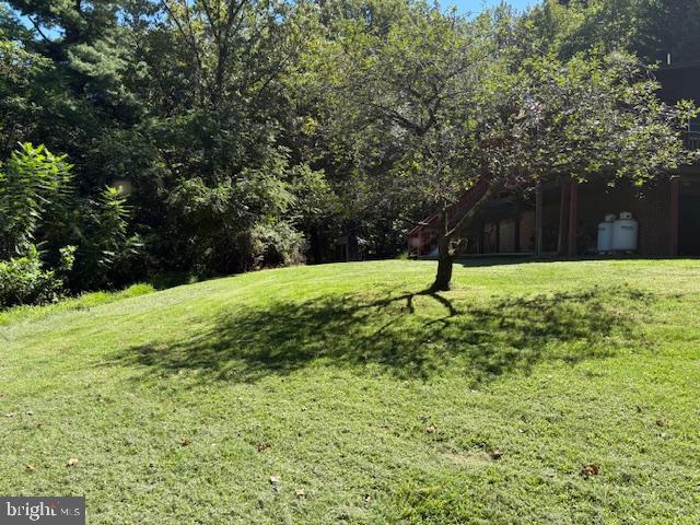 287 Blackthorne Road, Unit LURAY Stanley, VA 22851 - Photo 90 of 96 Serene landscape with a solitary tree.