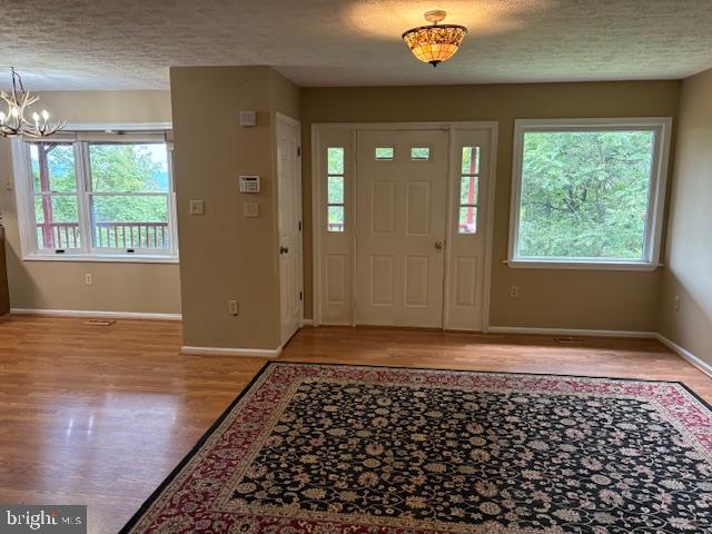 287 Blackthorne Road, Unit LURAY Stanley, VA 22851 - Photo 10 of 96 Natural light graces the entry.