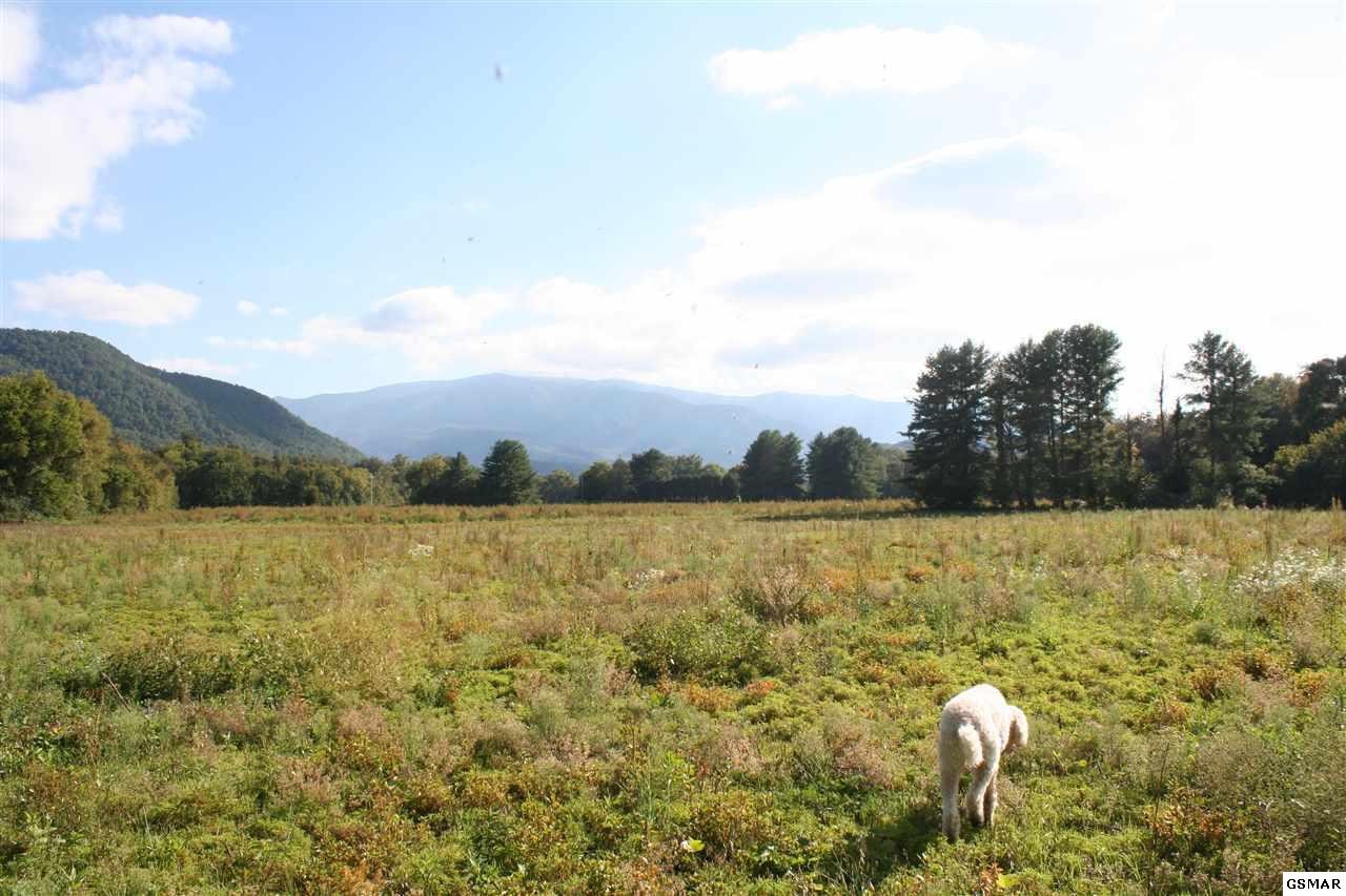 0 Holders Grove Road Cosby, TN 37722 - Photo 21 of 25 Gallery Image 21
