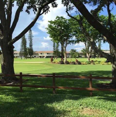 a view of a park with large trees