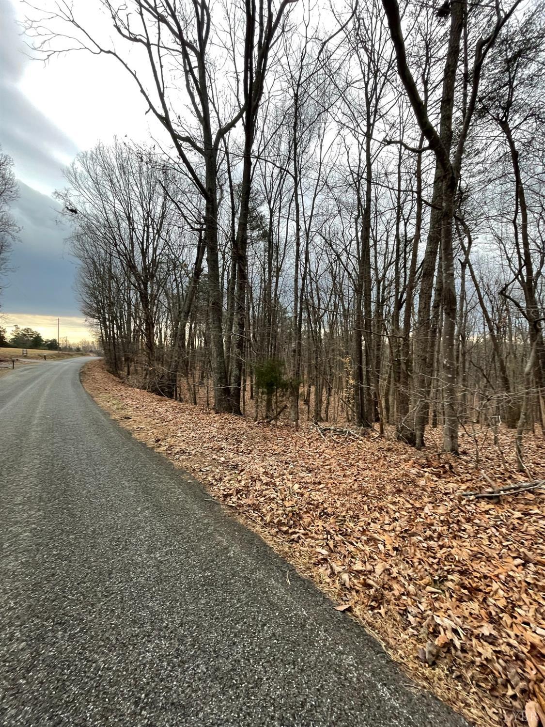 -tract C Swan Creek Road Gladys, VA 24554 - Photo 1 of 13