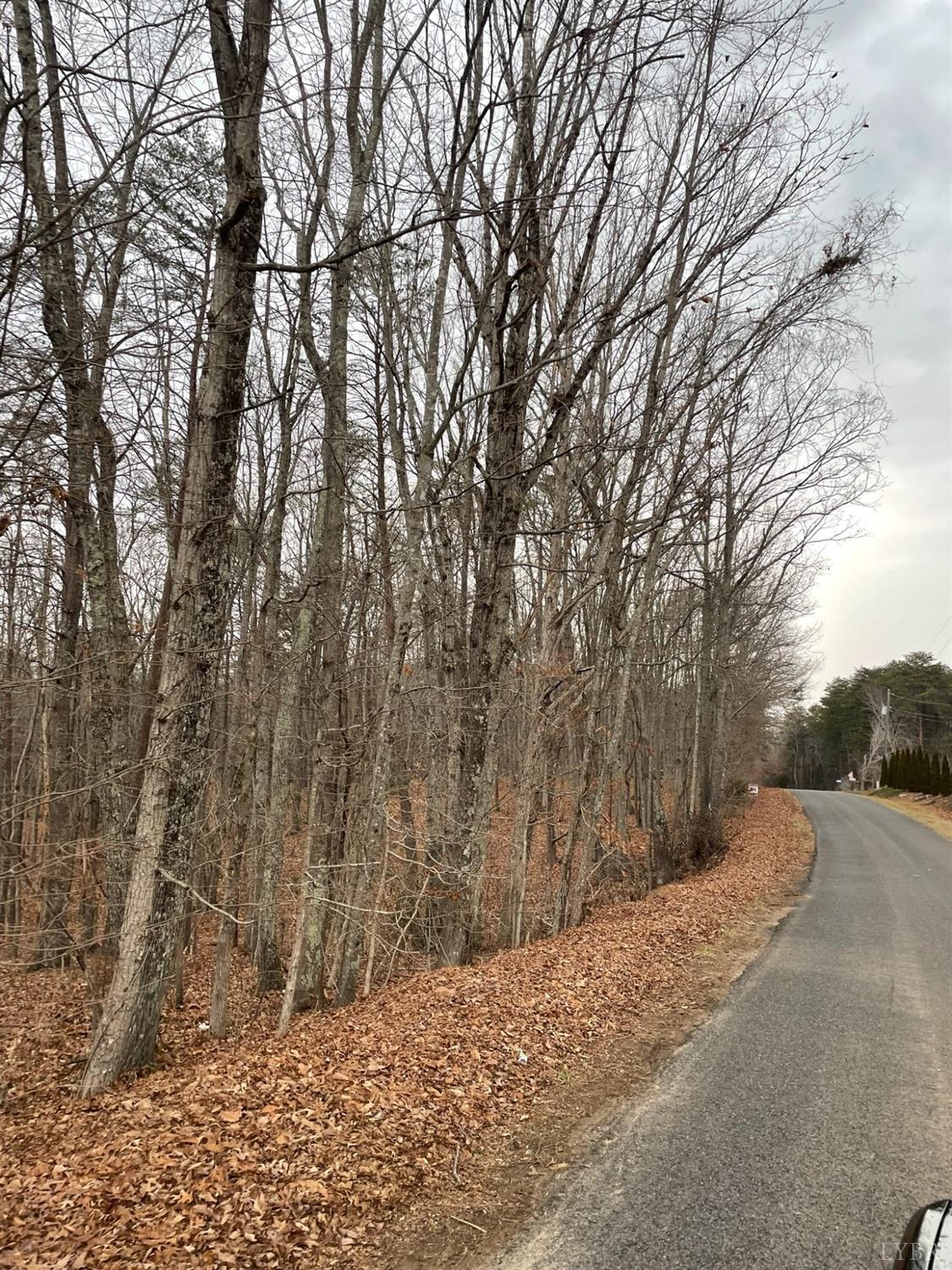 -tract C Swan Creek Road Gladys, VA 24554 - Photo 12 of 13