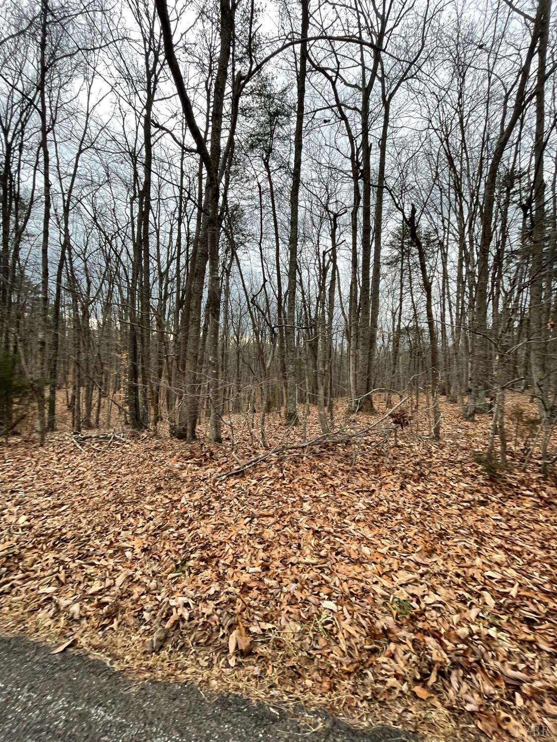 -tract C Swan Creek Road Gladys, VA 24554 - Photo 2 of 13