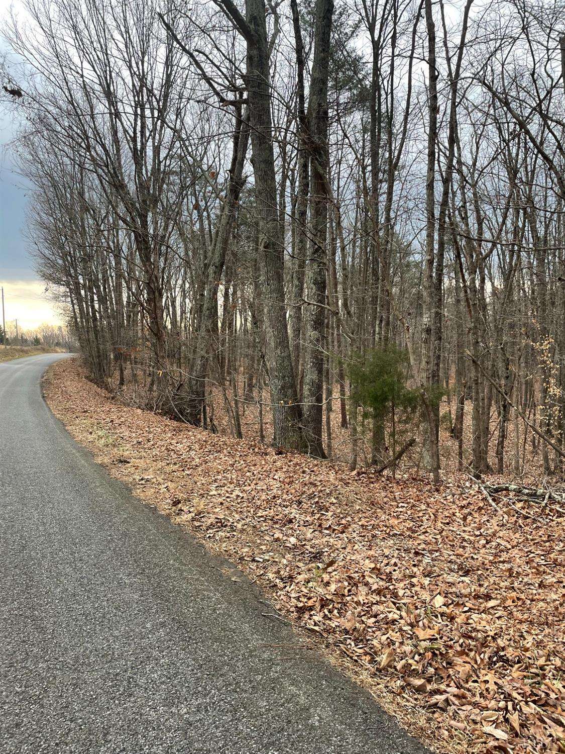 -tract C Swan Creek Road Gladys, VA 24554 - Photo 3 of 13