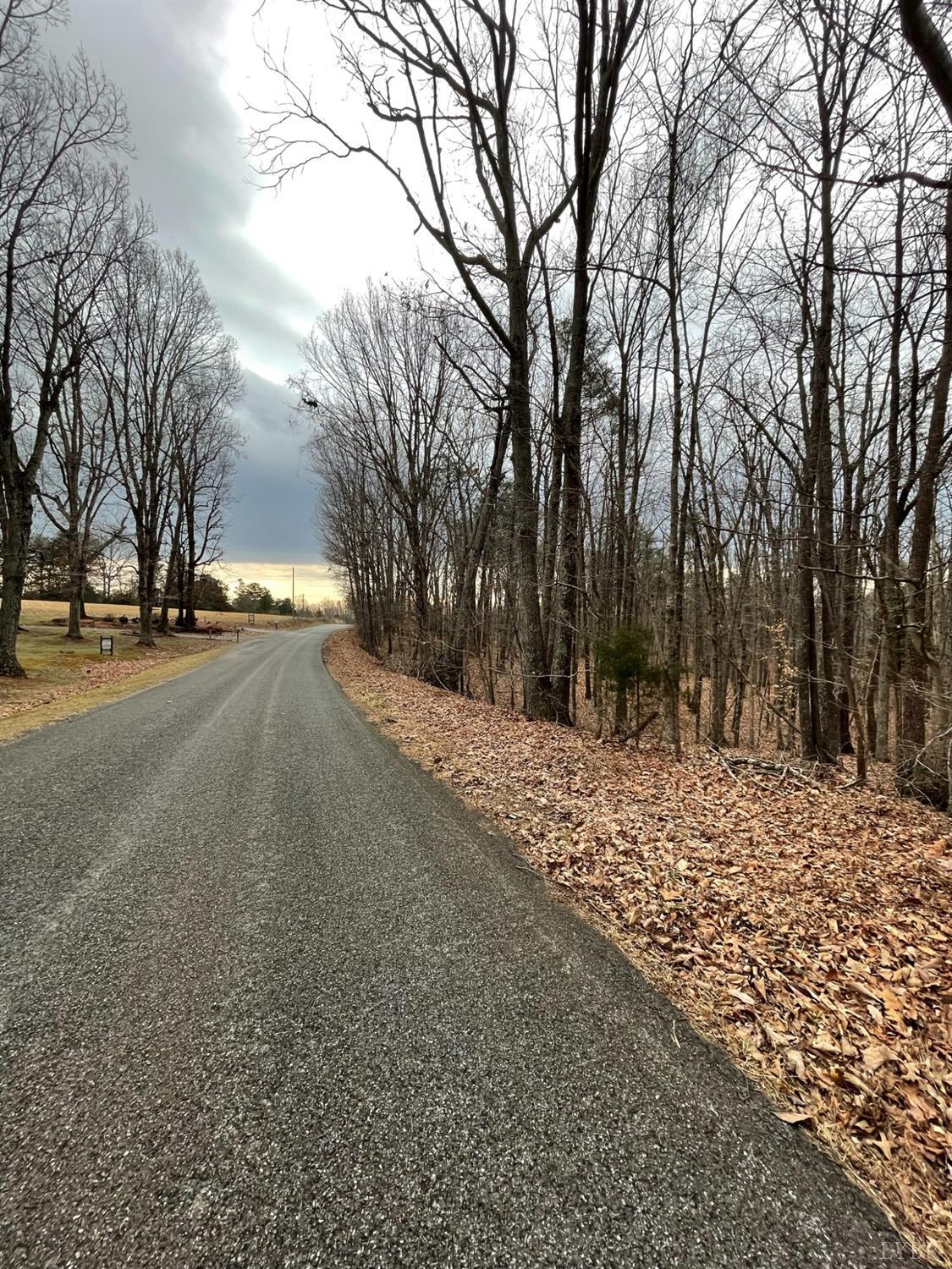 -tract C Swan Creek Road Gladys, VA 24554 - Photo 5 of 13