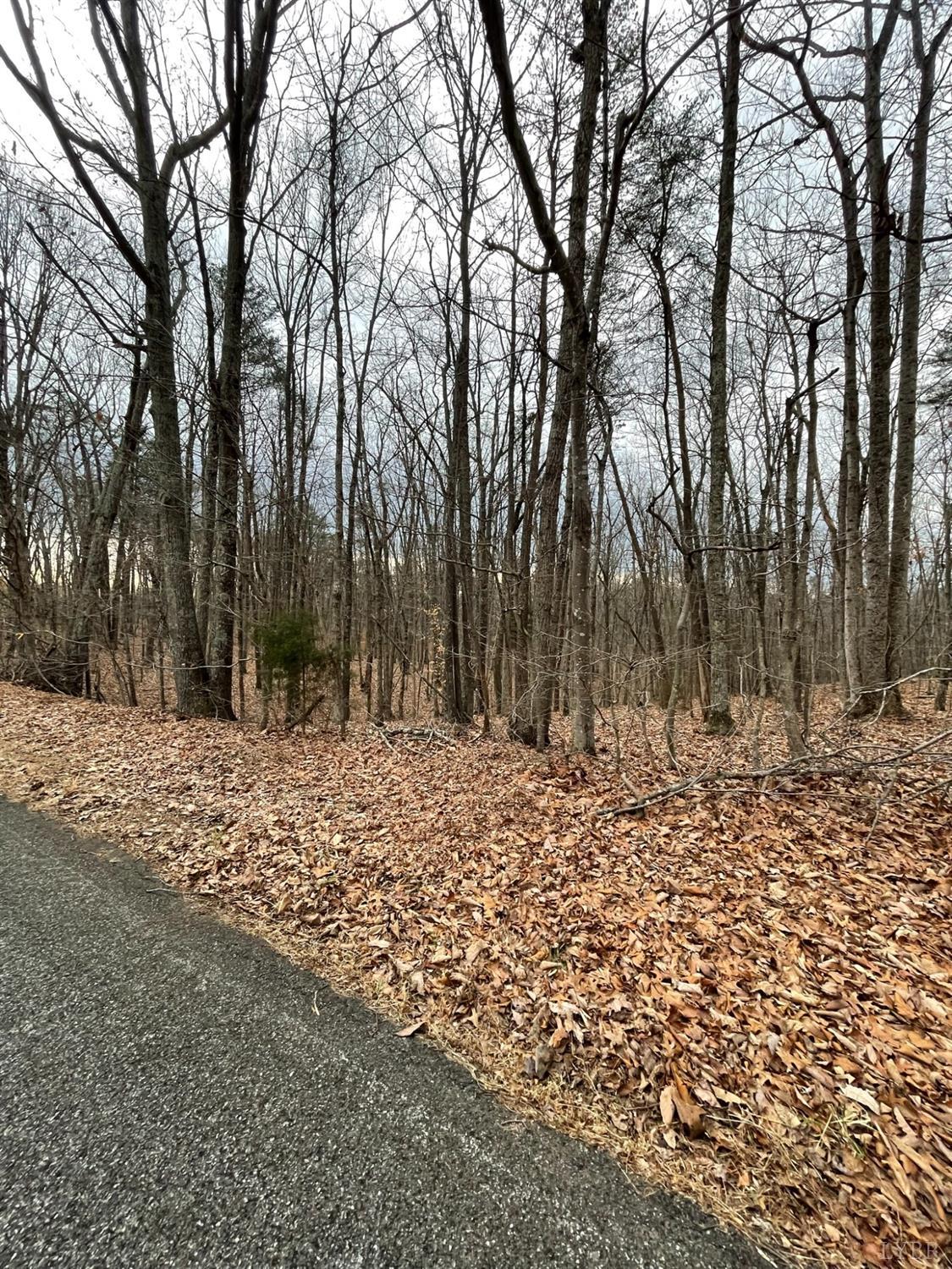 -tract C Swan Creek Road Gladys, VA 24554 - Photo 6 of 13