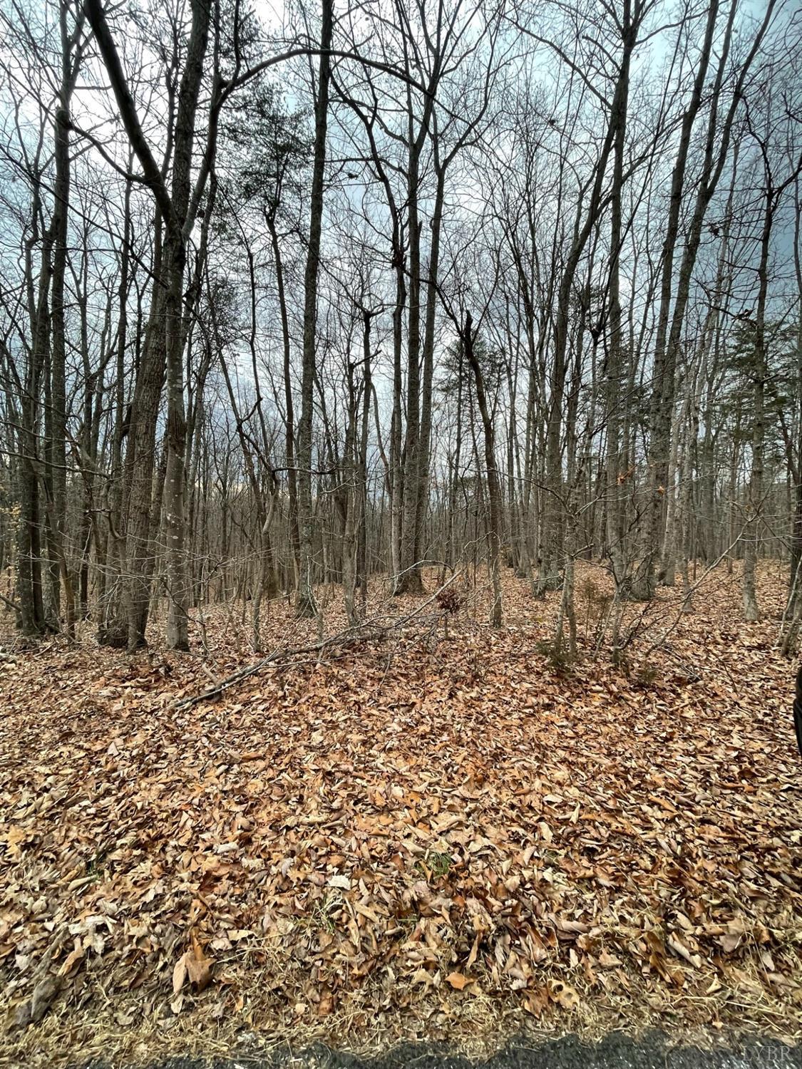 -tract C Swan Creek Road Gladys, VA 24554 - Photo 7 of 13