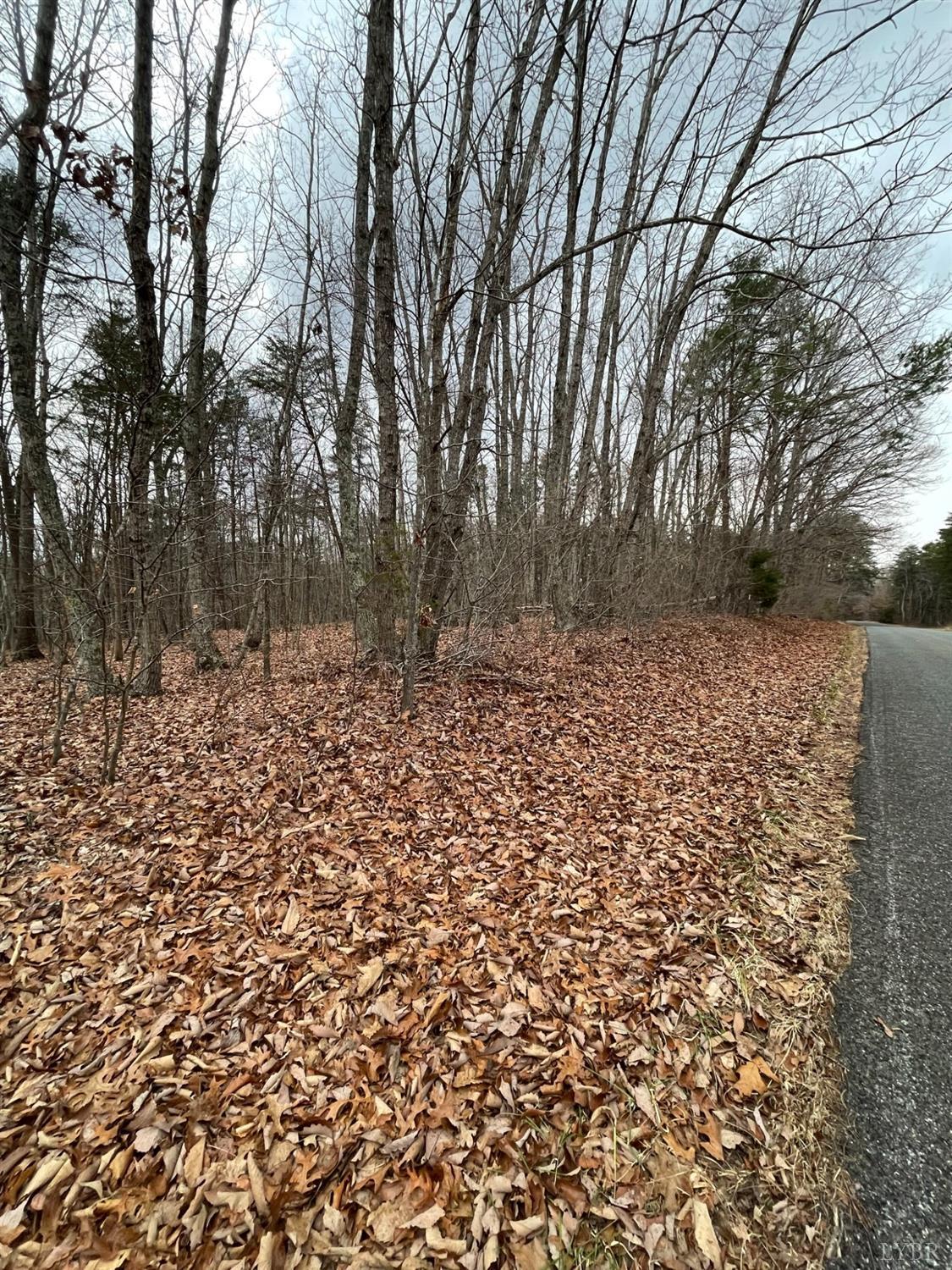 -tract C Swan Creek Road Gladys, VA 24554 - Photo 10 of 13