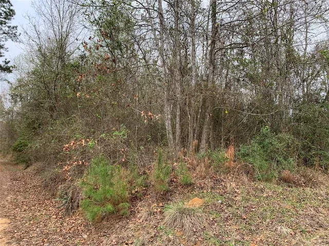 $35,000 | 0 Sikes Orchard Road, Jamestown, LA 71045