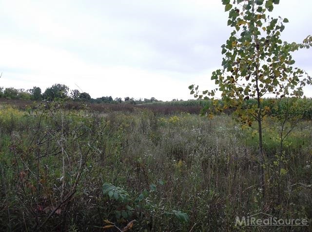 0 Metcalf Road Capac, MI 48014 - Photo 7 of 14