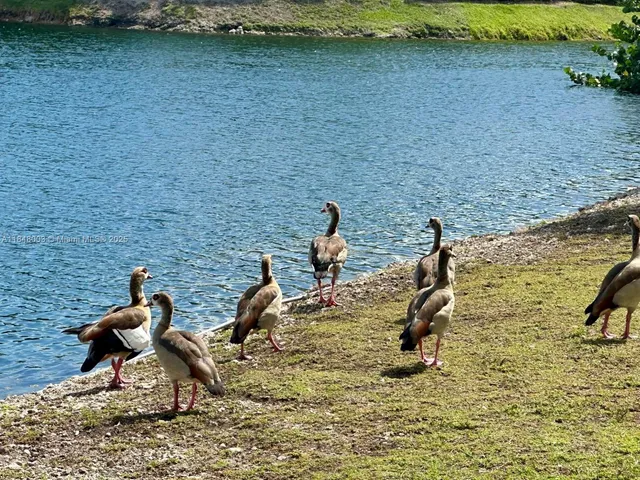 a group of people sitting on sand and a table