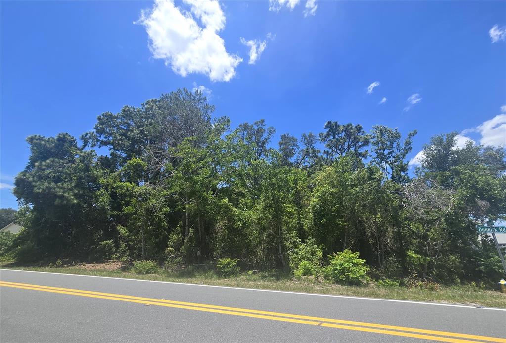 Dunkirk Rd Spring Hill Spring Hill, FL 34608 - Photo 4 of 9
