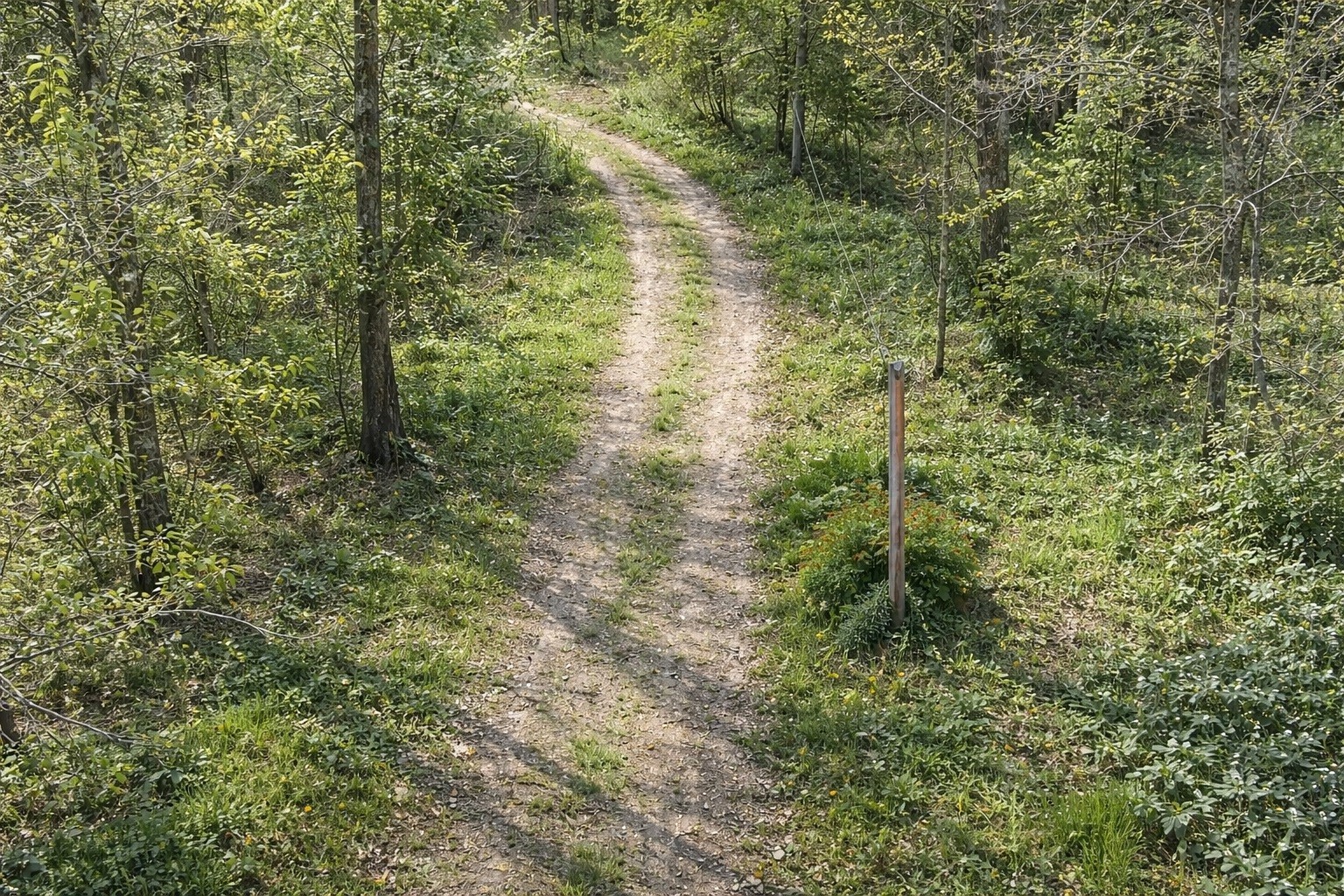 1135 West Mink Branch Road Waynesboro, TN 38485 - Photo 72 of 83